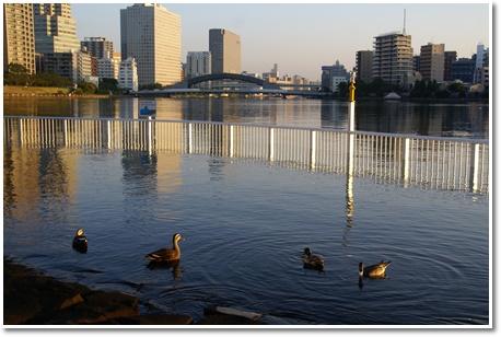 10月20日永代橋也.jpg