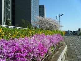 140405sumidagawa Terrace.JPG