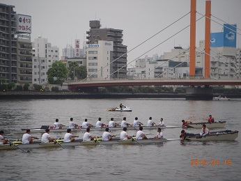 regatta4.jpg