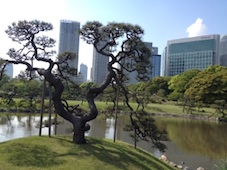 hamarikyu5.jpg