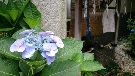 末廣神社450.jpg