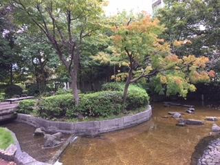 櫻川屋頂公園的紅葉.jpeg