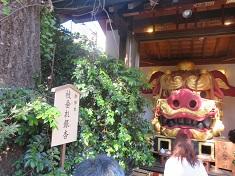 神社銀杏235.jpg