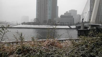 佃・石川島雪2.JPG