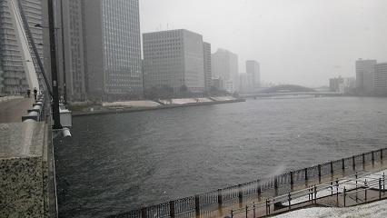 佃・石川島雪4.JPG