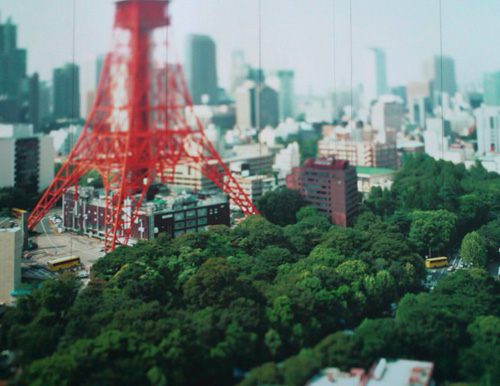 Naoki_Honjyo_ShibaPark_TokyoTower.jpg