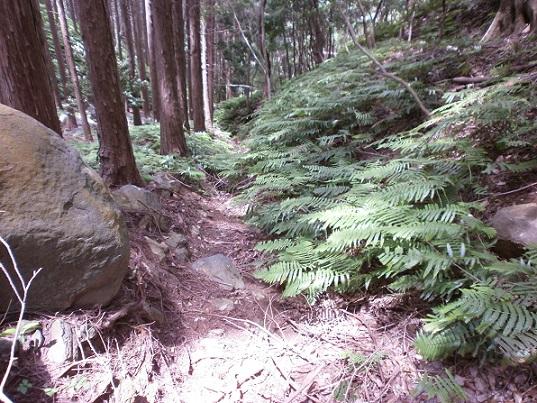 無路之路(nako山).jpg