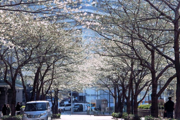  感受到明治時代・日本銀行和常磐橋