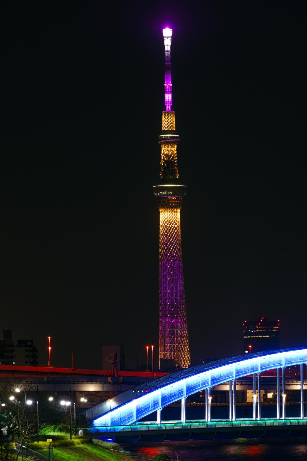 想更好地看天空樹…… 小傳馬町的日本辛夷…