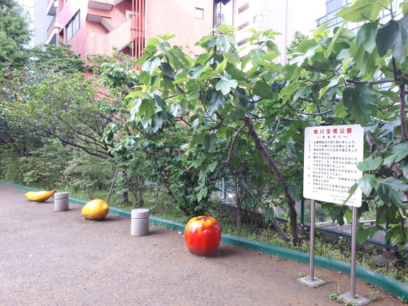 楓川寶橋公園中央區“橋巡禮”⑨