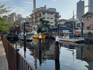 佃堀的棧橋築地、勝時、佃近況