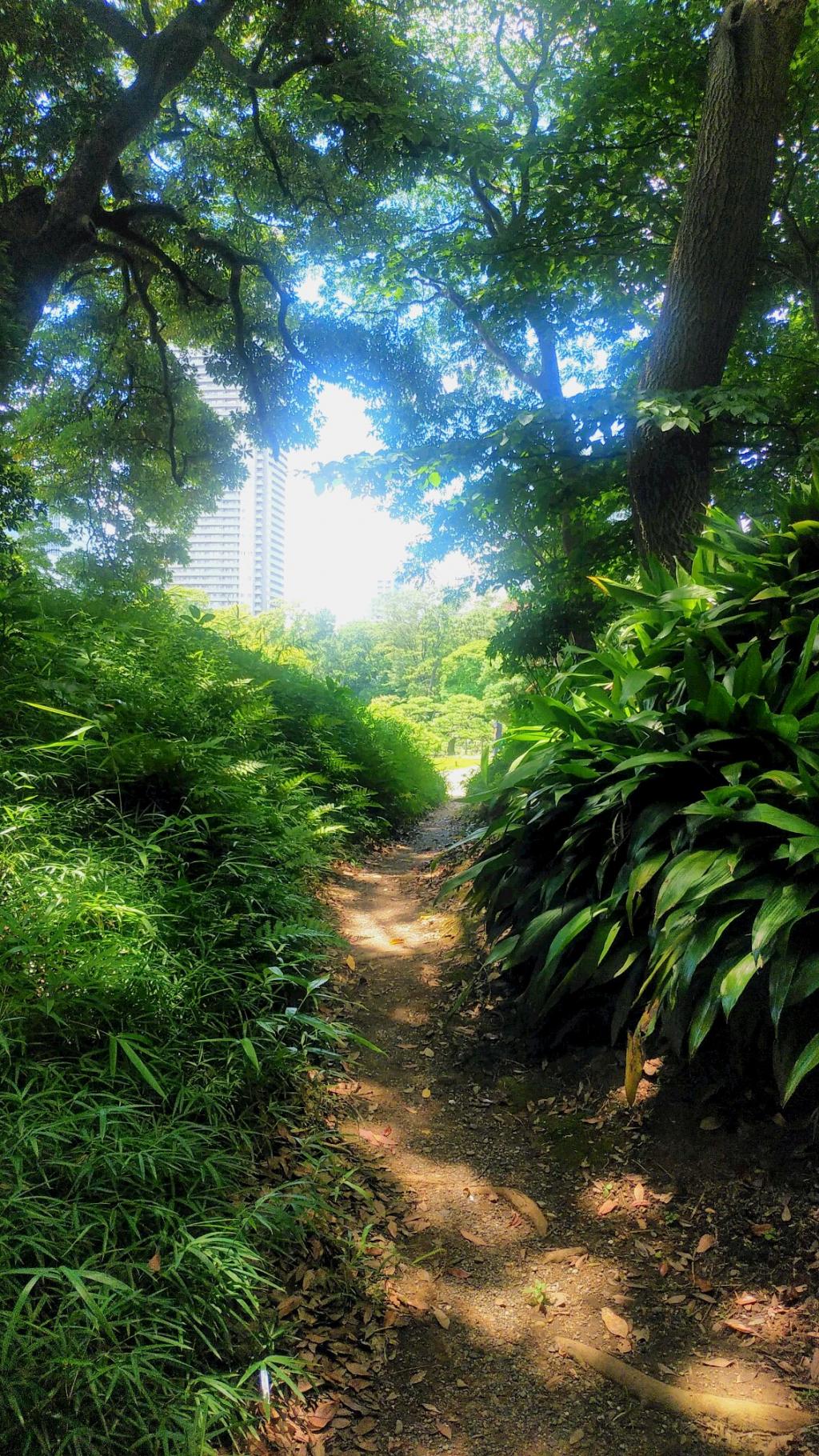  隱藏,燒焦,囤積,一下子打開!
～這就是“障景”的秘訣～