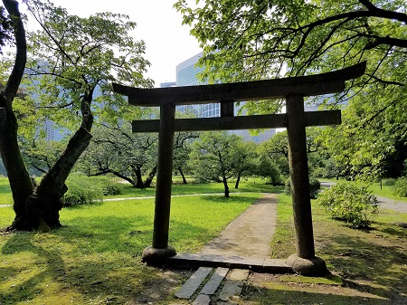  楚々庭園的桔子和夏詣