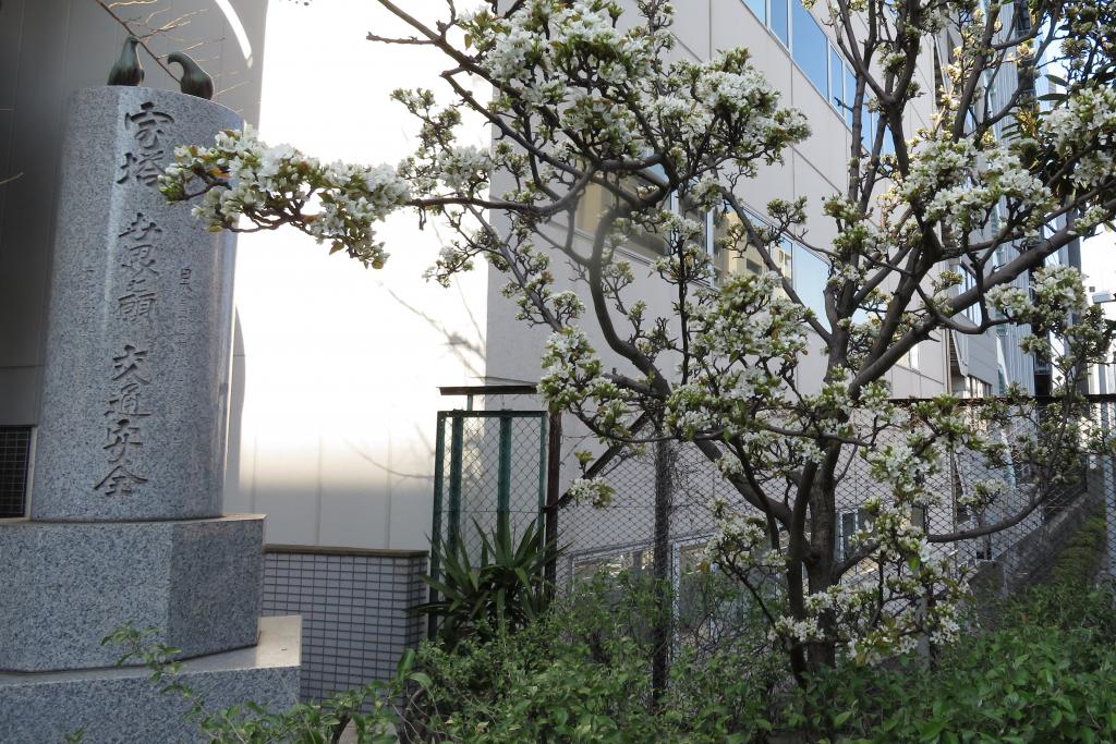 寶橋公園寶地藏菩薩寶塔・祈願世界交通安全碑白花梨木彈正橋到楓川遺跡的楓川,“紅葉”