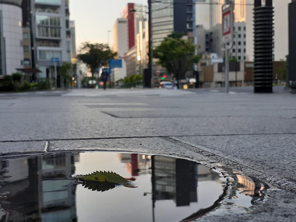  只有雨後才能看到的風景~改變視線,拍攝一張很棒的照片吧!～