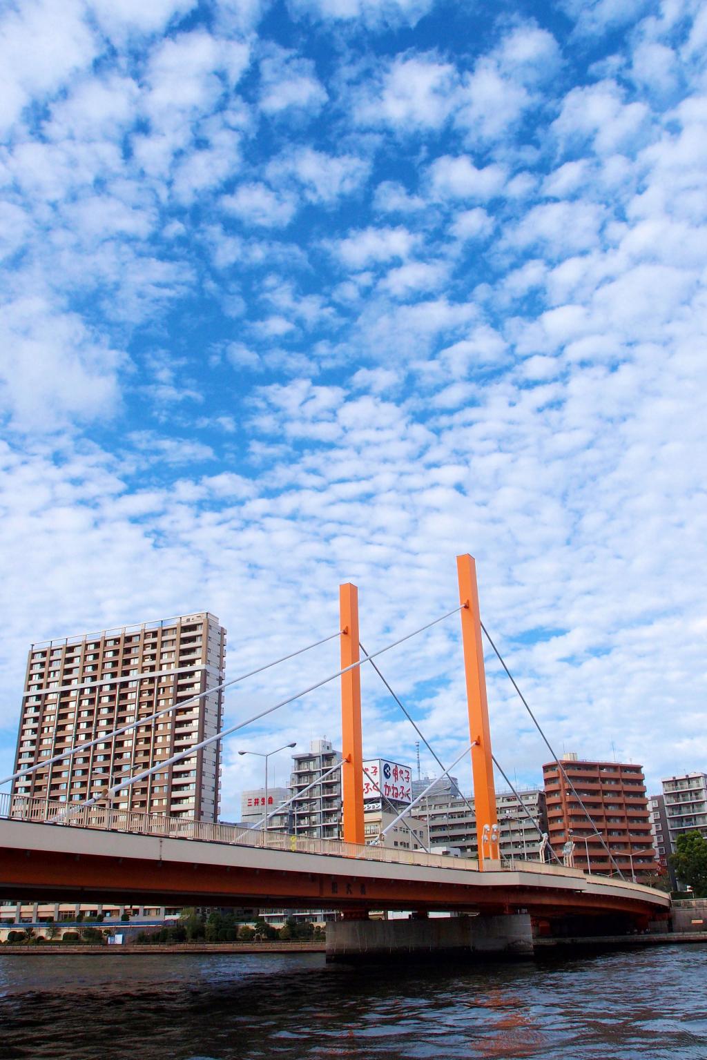  隅田川・穿過幾座橋