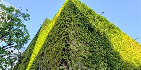  [花與綠與水]
推薦您在晴海特裡頓廣場的花園散步。