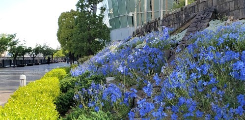  [花與綠與水]
推薦您在晴海特裡頓廣場的花園散步。