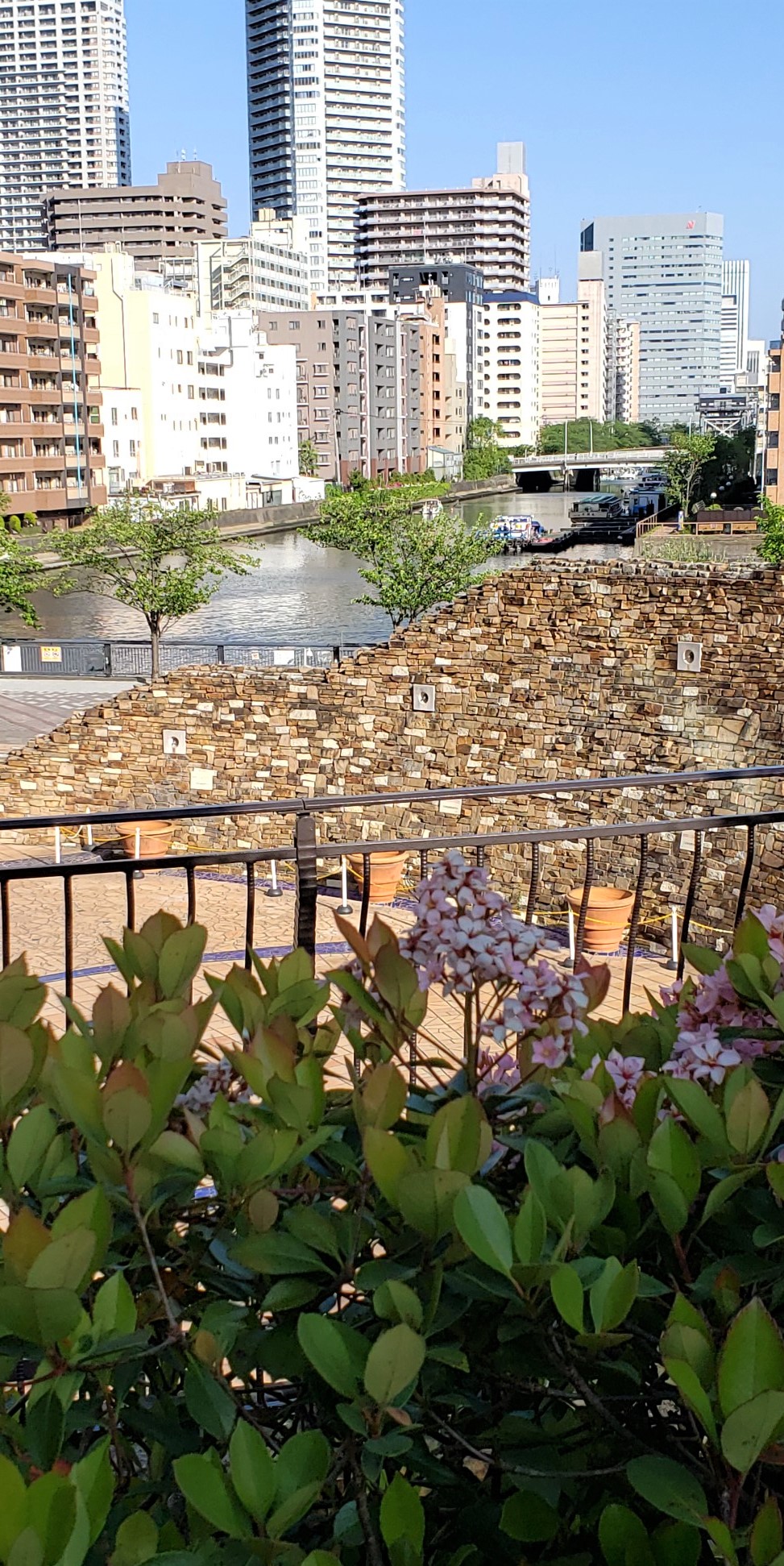  [花與綠與水]
推薦您在晴海特裡頓廣場的花園散步。