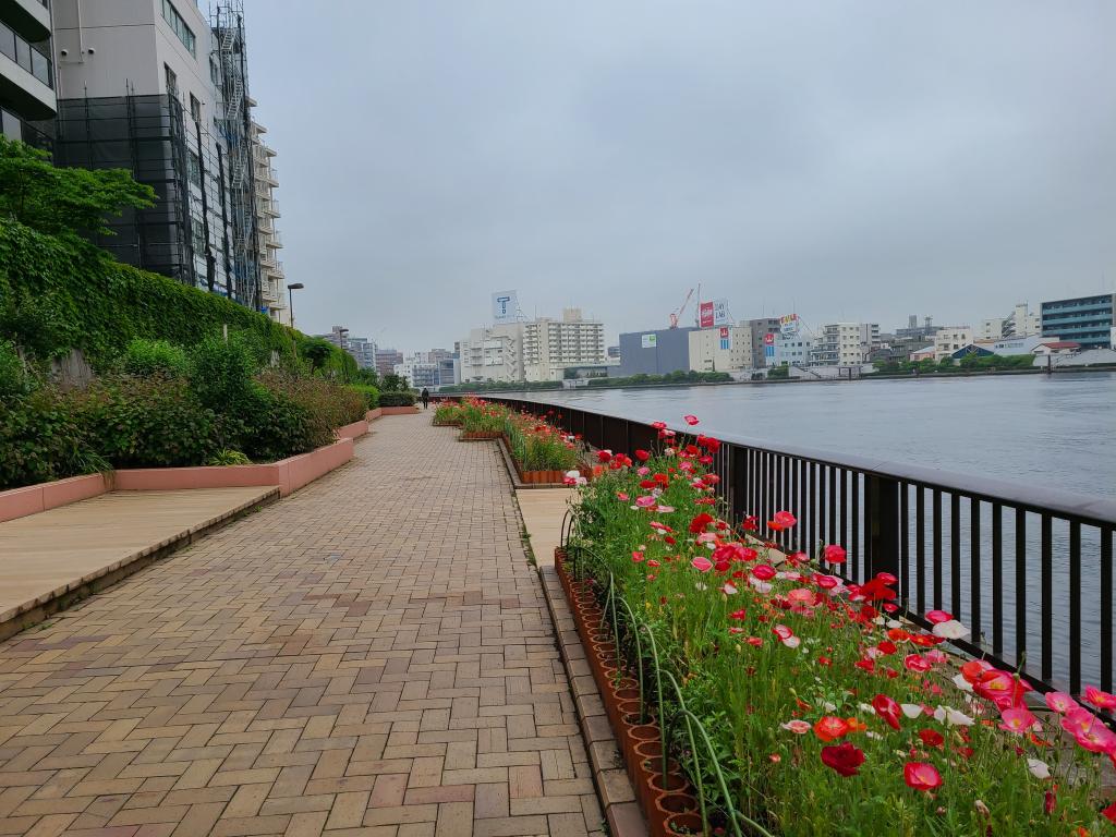 隅田川的花壇地圖為隅田川的水邊增添色彩的花壇。你知道它的分布嗎?