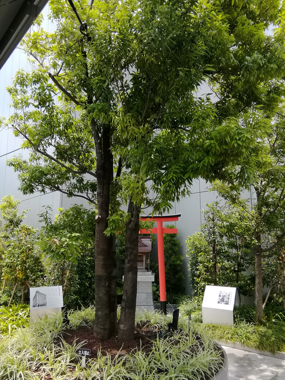 護稻荷神社稍微有點在意的中央區的神社12
　【屋頂系列2】
　護稻荷神社