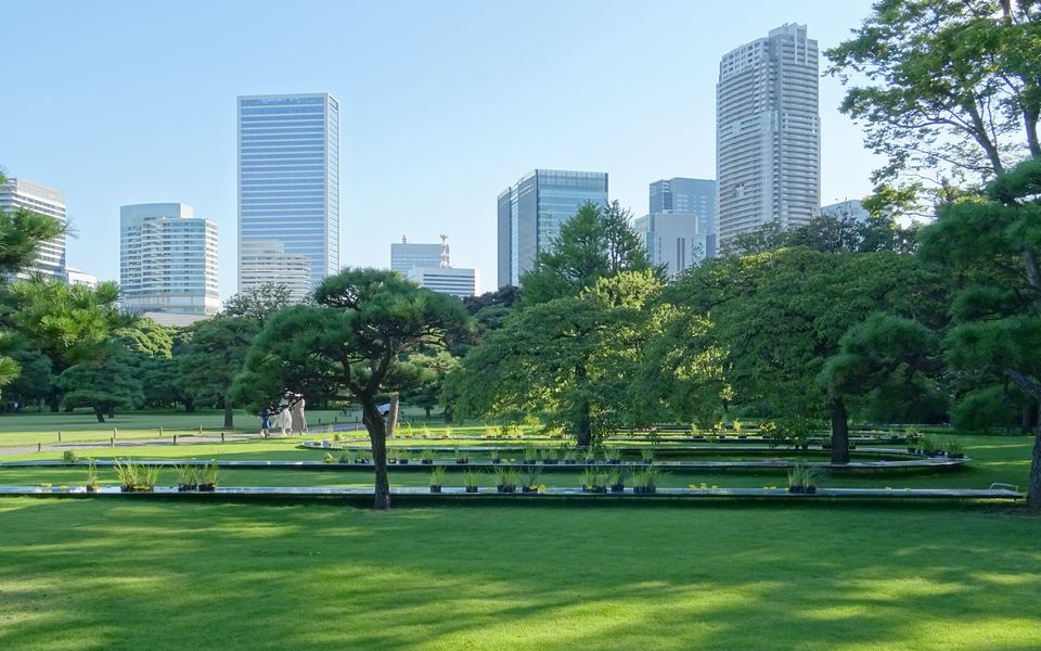 作為“展館·東京2021”的一環,設置期間限定!　濱離宮恩賜庭園的“水明”