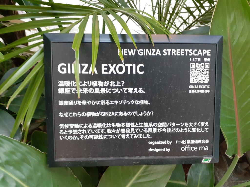  NEW GINZA STREETSCAPE～在銀座的街角思考的日本傳統與溫暖化～