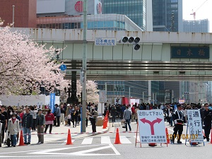  院展・日本橋祭