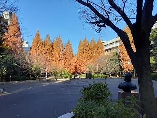 近期也能欣賞到紅葉,期待近日公開?