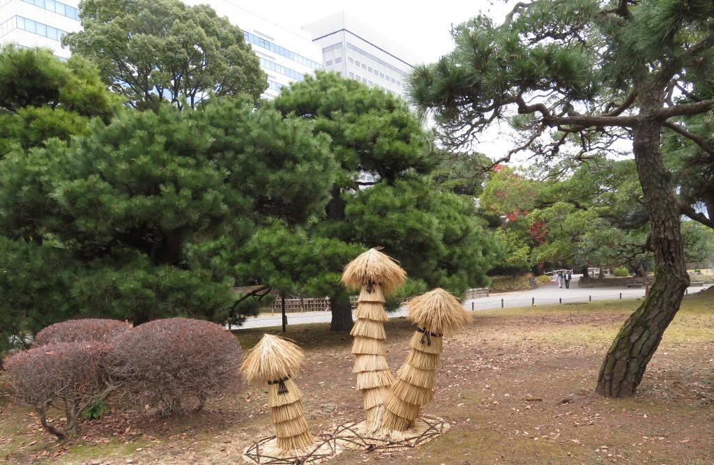 保護冬季風景線植物免受霜雪侵害的“蕨菜”浜離宮恩賜庭園初春的裝束　