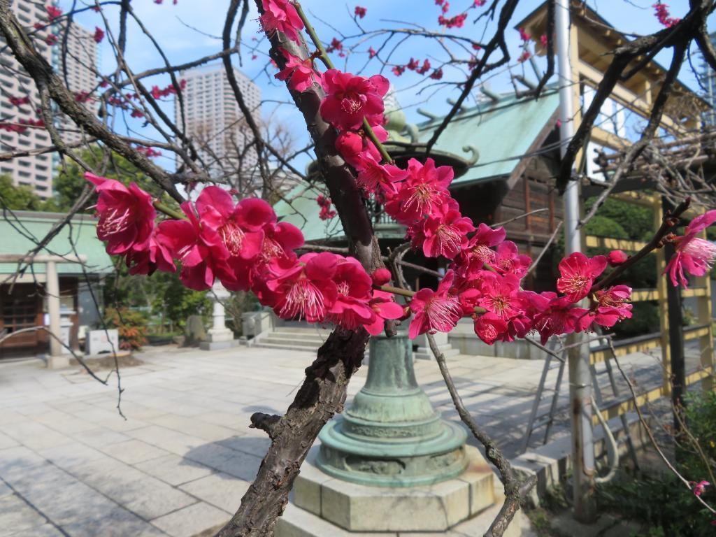  在春陽下閃耀的隅田川-佃大橋橋上的景色-