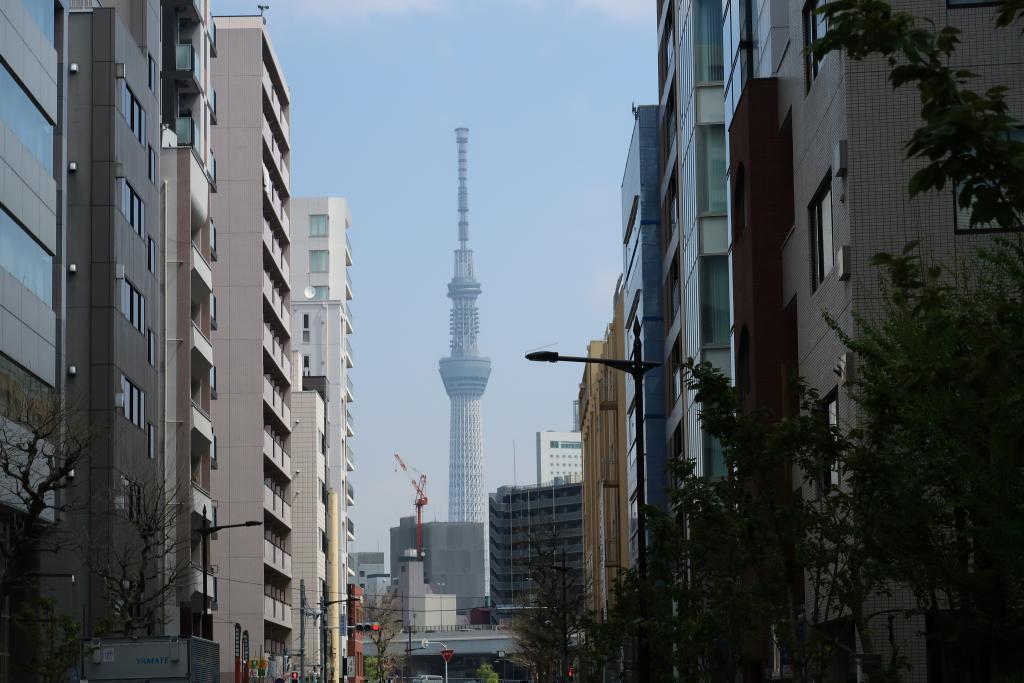 序曲春天正式開始! 走吧從隅田川陽臺眺望的“東京天空樹”前篇