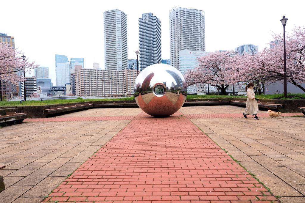  想試著滾動隅田川・はとば公園裡的大球