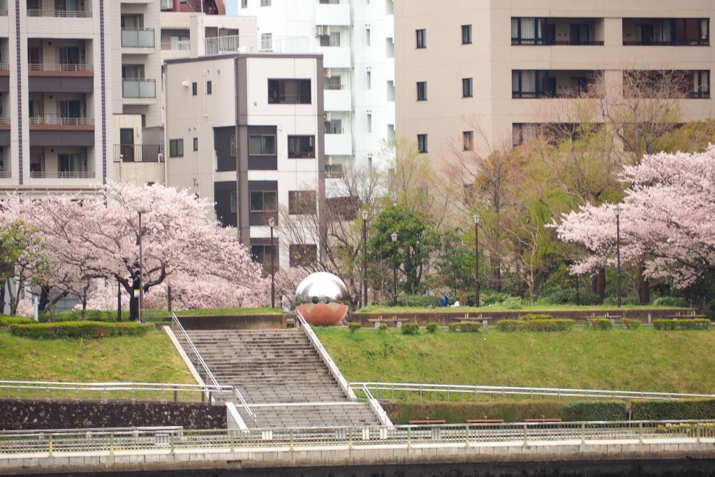  想試著滾動隅田川・はとば公園裡的大球