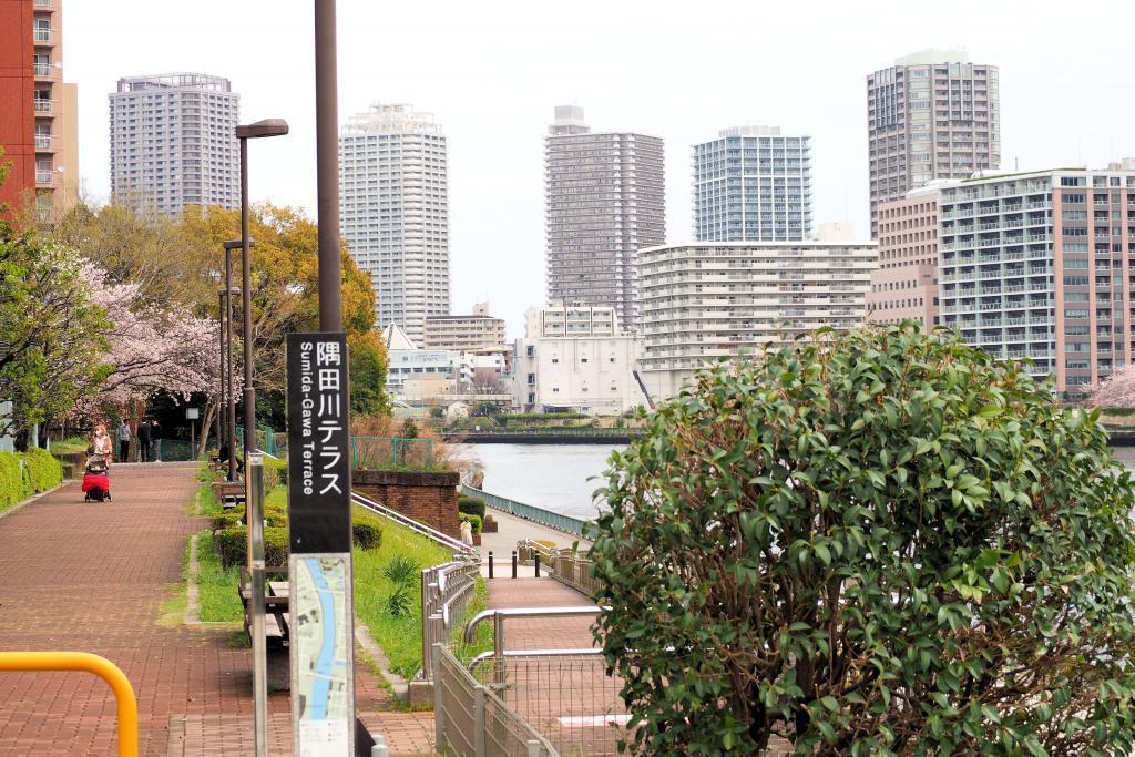  想試著滾動隅田川・はとば公園裡的大球