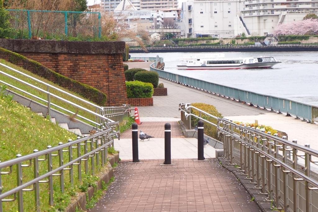  想試著滾動隅田川・はとば公園裡的大球