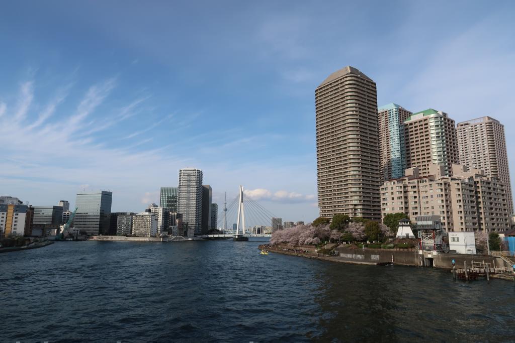 從中央大橋到佃大橋的春天正式演出! 走吧從隅田川陽臺眺望的“東京天空樹”後篇