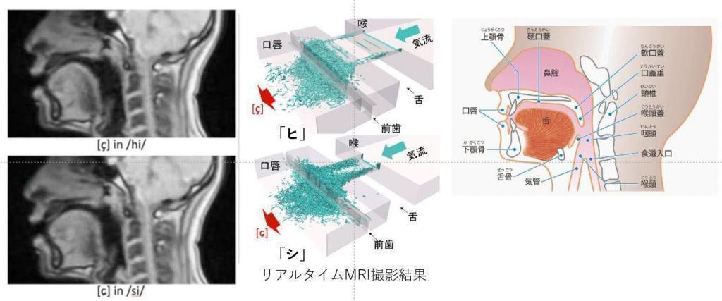 「ひ」和「し」的發音江戶方言的「ひ」和「し」的混同