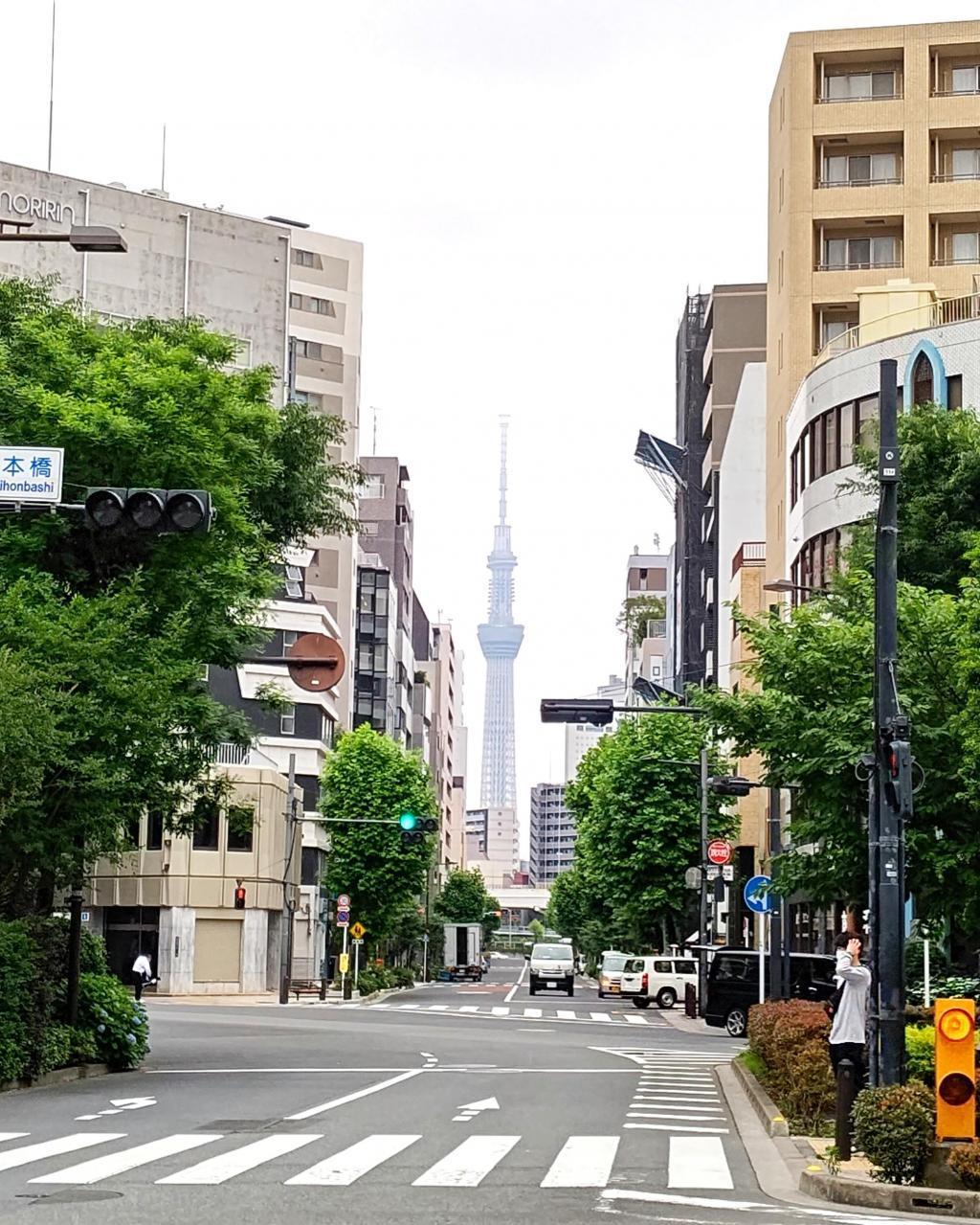 昭和天皇臨幸的“御幸大道”和紀念碑東日本橋也有“縣居之跡”的指示牌