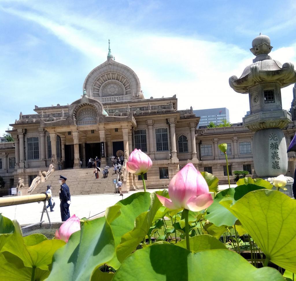 蓮花盛開,天空中有白色掃帚雲築地本願寺6月的參拜卡和蓮花