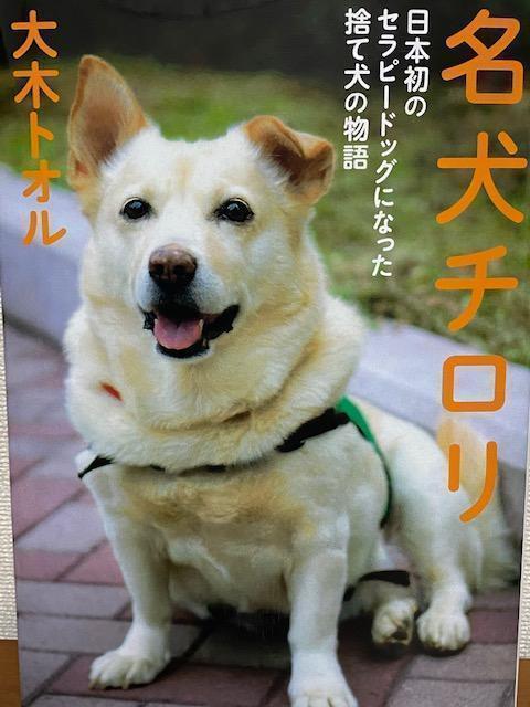 成為許多書的奇洛裡名犬奇洛裡和養育之父大木托爾