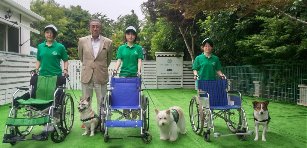 結束了貼近輪椅的訓練,和名犬chirori一起養大的父母大木トオル