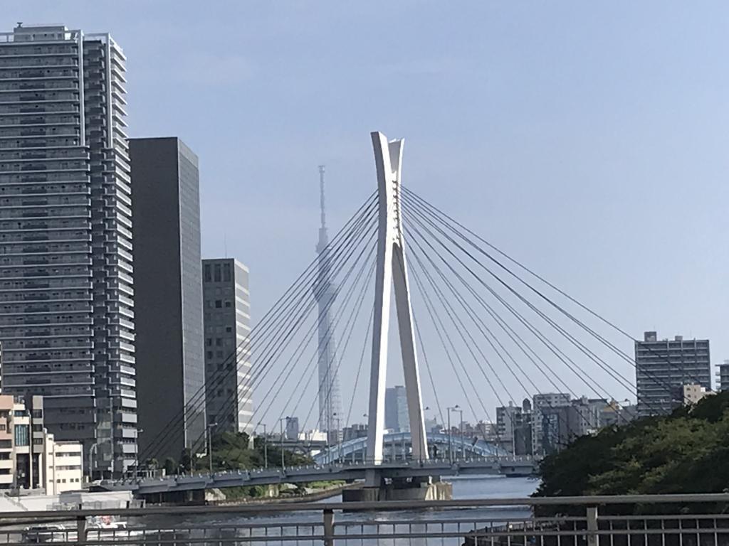 中央大橋隅田川的12座橋現在正在點燈