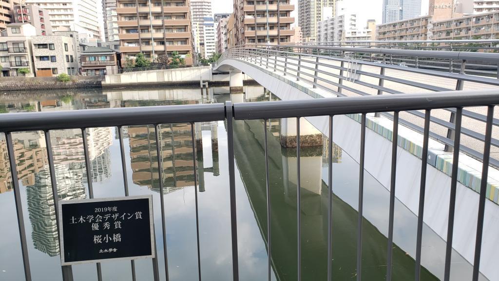  在朝潮運河
為了尋找魚而遇到的野鳥們。