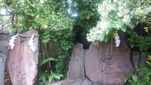  築地波除神社之類的話,5月的銀座有Malonye...