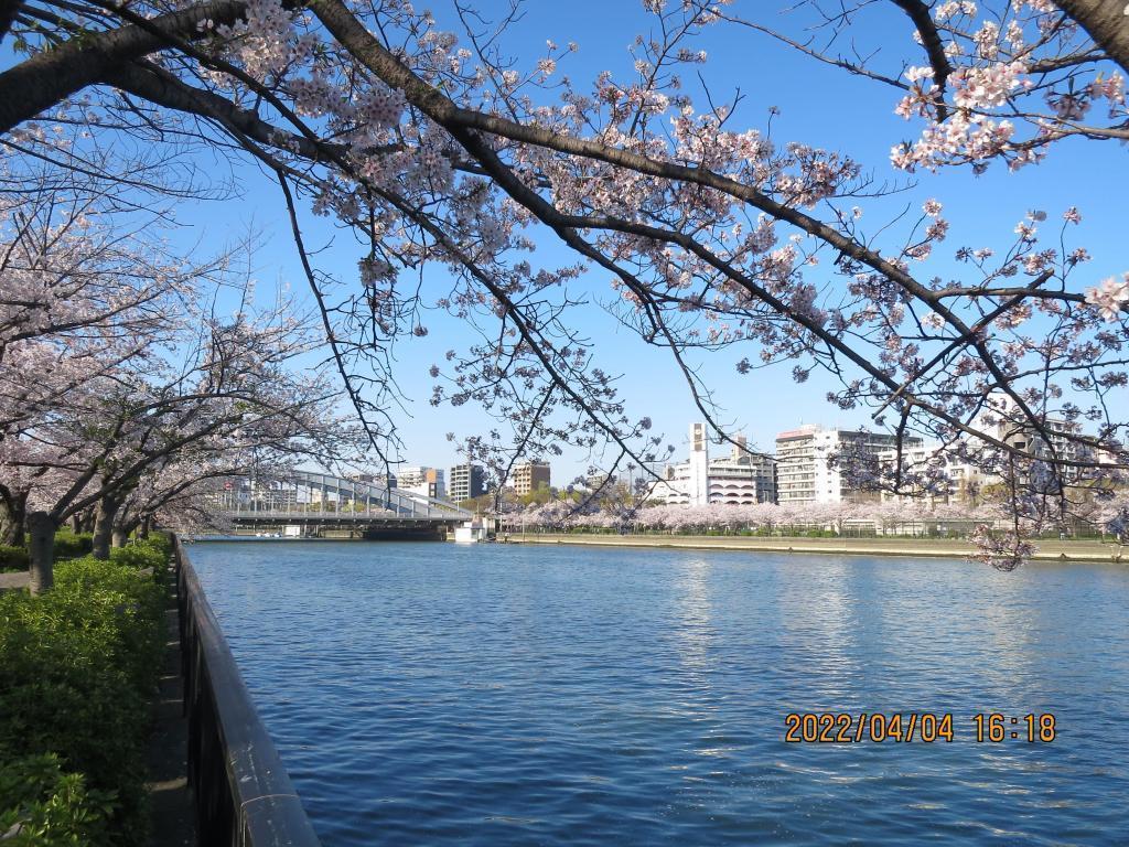  大阪・住吉大社