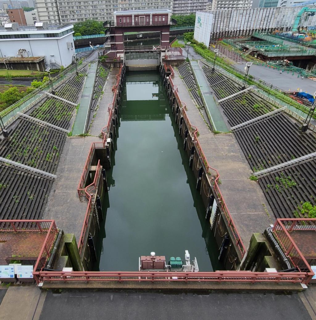 一次可以在兩個地方體驗荒川鎖門巴拿馬運河那樣的通過的郵輪!?(從日本橋船著場出發♪)