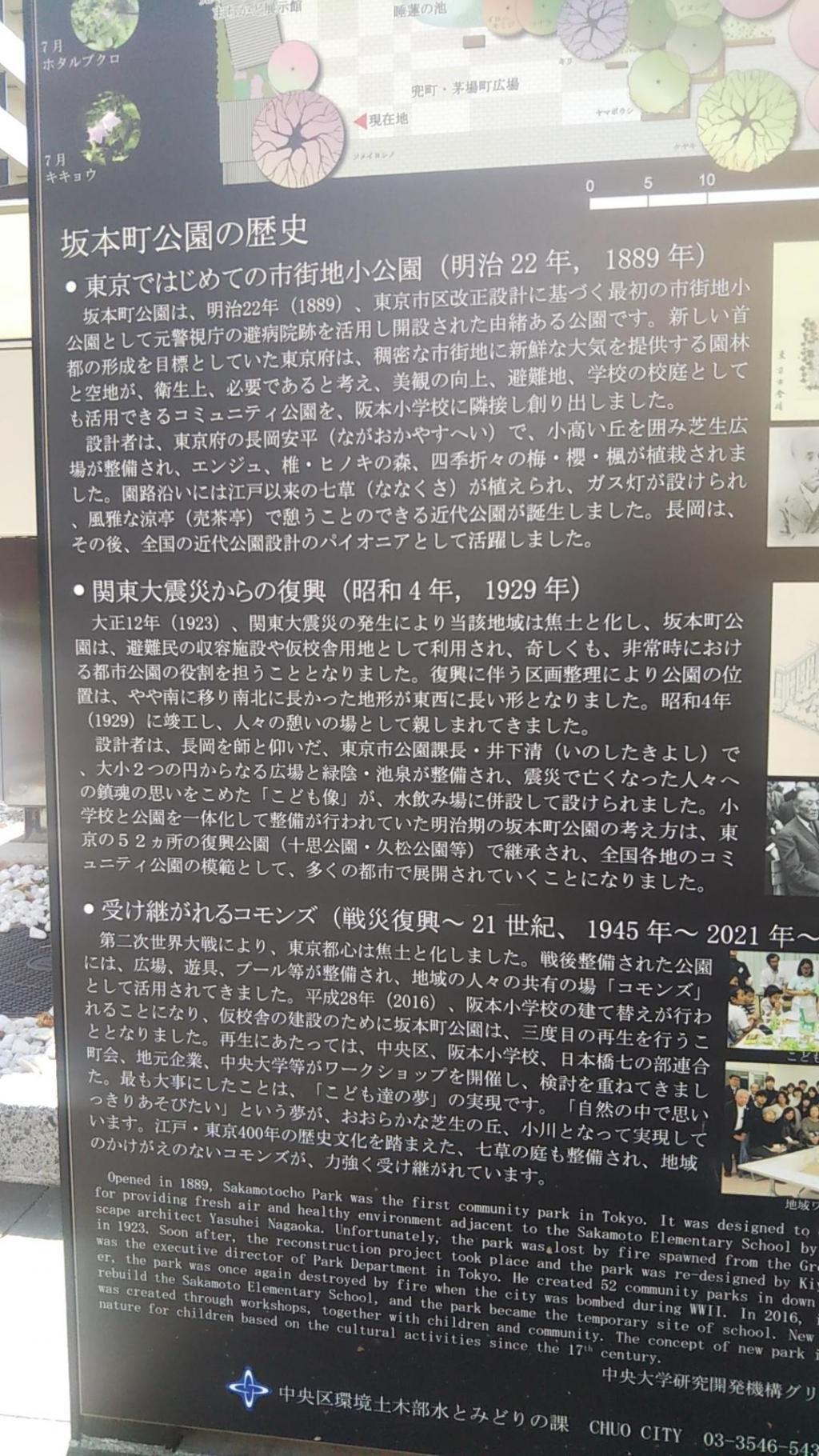 在東京第一個建成的市區小公園公園裡有夜間電影。活動持續的坂本町公園