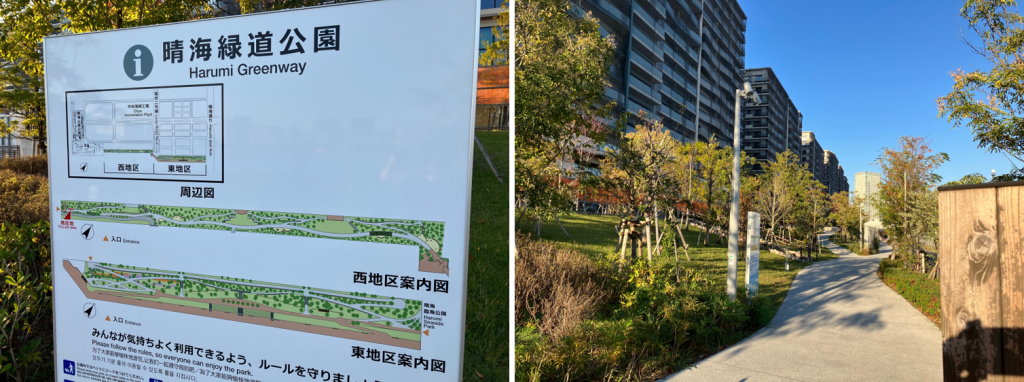 一邊慢跑,一邊在森林浴的心情“晴海河豚公園”和“晴海綠道公園”中奔跑