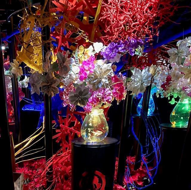 《花林》金魚舞動的幻想回廊ART AQUARIUM美術館GINZA